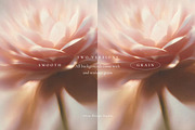 Autumn Blurry Floral Backgrounds, a Background Graphic by Altea Design Studio (Thumbnail 11 of 15)