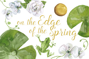 On the Edge of the Spring