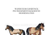 20 Horse Clipart, an Animal Illustration by Pati Charm Studio (Thumbnail 4 of 8)