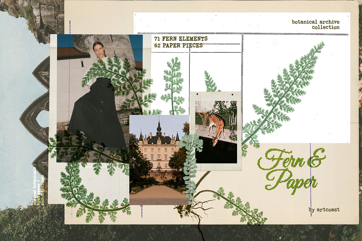 Fern & Paper Archive, a Background Graphic by nadispasibenko (Photo 4 of 10)