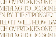 Seraphine Modern Font Serif, a Serif Font by Letterena Studios (Thumbnail 8 of 15)