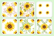 Sunflowers, set of watercolor, a Decorative Illustration by EshaStudio (Thumbnail 6 of 9)