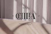 OV Cotin Serif Font Family, a Serif Font by OV Type (Thumbnail 15 of 16)
