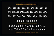 Brenson Charlotte - Retro Font Duo, a Script Font by Grezline Studio (Thumbnail 8 of 14)
