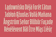 Anantikos Serif Typeface, a Serif Font by Frantic Disorder (Thumbnail 8 of 10)