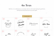 3 in 1 Floral Kit Bundle, a Branding & Logo Template by VladCristea (Thumbnail 7 of 30)