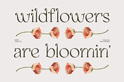 Selukar - Vintage Display Serif Font, a Serif Font by Artflorara (Thumbnail 8 of 15)