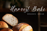 Bough and Berry - Handwritten font, a Handwritten Font by BitongType (Thumbnail 7 of 10)