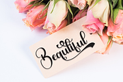 Andelucia | Script Font, a Handwritten Font by Scratchones (Thumbnail 5 of 9)