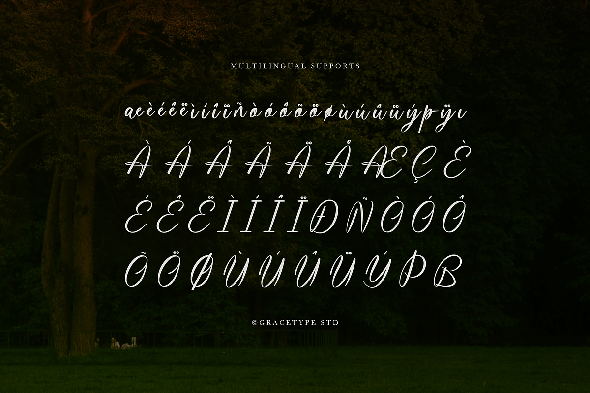Kartaliaw Mimohasa Elegant Signature, a Script Font by gracetype_studio (Photo 11 of 12)