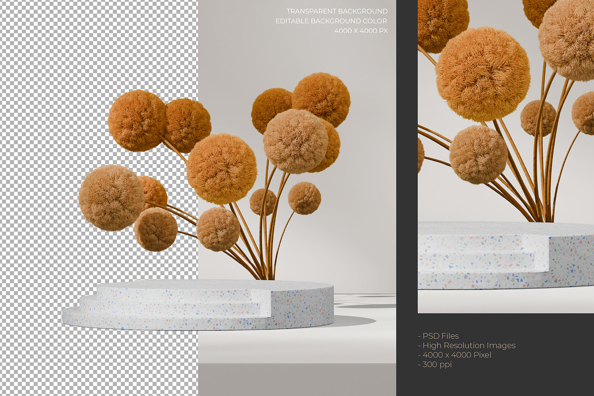 5 Podium with Transparent Background, a Background Graphic by faustudio (Photo 5 of 7)