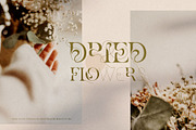 More Aloof Typeface Font, a Serif Font by Creativeqube Design (Thumbnail 10 of 14)