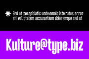 NorthBay Grotesk, a Sans Serif Font by Foxtype (Thumbnail 4 of 7)