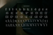 Yerindar | Modern Display Serif, a Serif Font by gracetype_studio (Thumbnail 11 of 12)