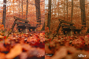 15 Autumn Inspired Lightroom Presets, a Preset Add-On by HipFonts (Thumbnail 8 of 10)