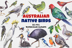 Australian native birds, an Illustration by FITALARTSNEDIGI