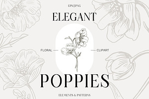 Elegant Poppies Spring flowers