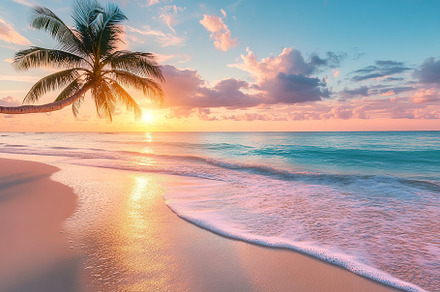 Beautiful sunset at the beach with palm tree and gentle waves in the Caribbean, a Nature Photo by AlyaAnd