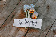 Zofia Larsonty Modern Handwritten, a Script Font by Letterena Studios Script (Thumbnail 10 of 15)