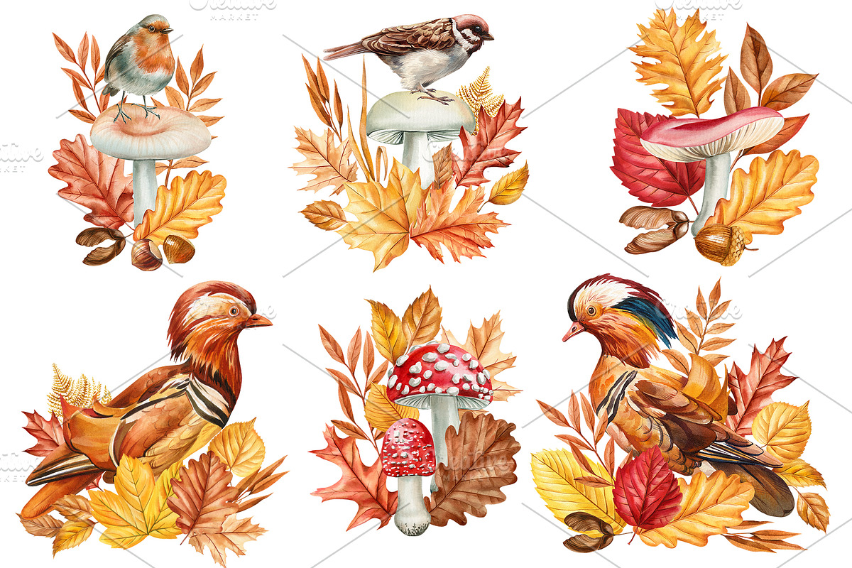 Harvest Thanksgiving fall clipart, a Decorative Illustration by Hanna Hryharenka (Photo 9 of 20)