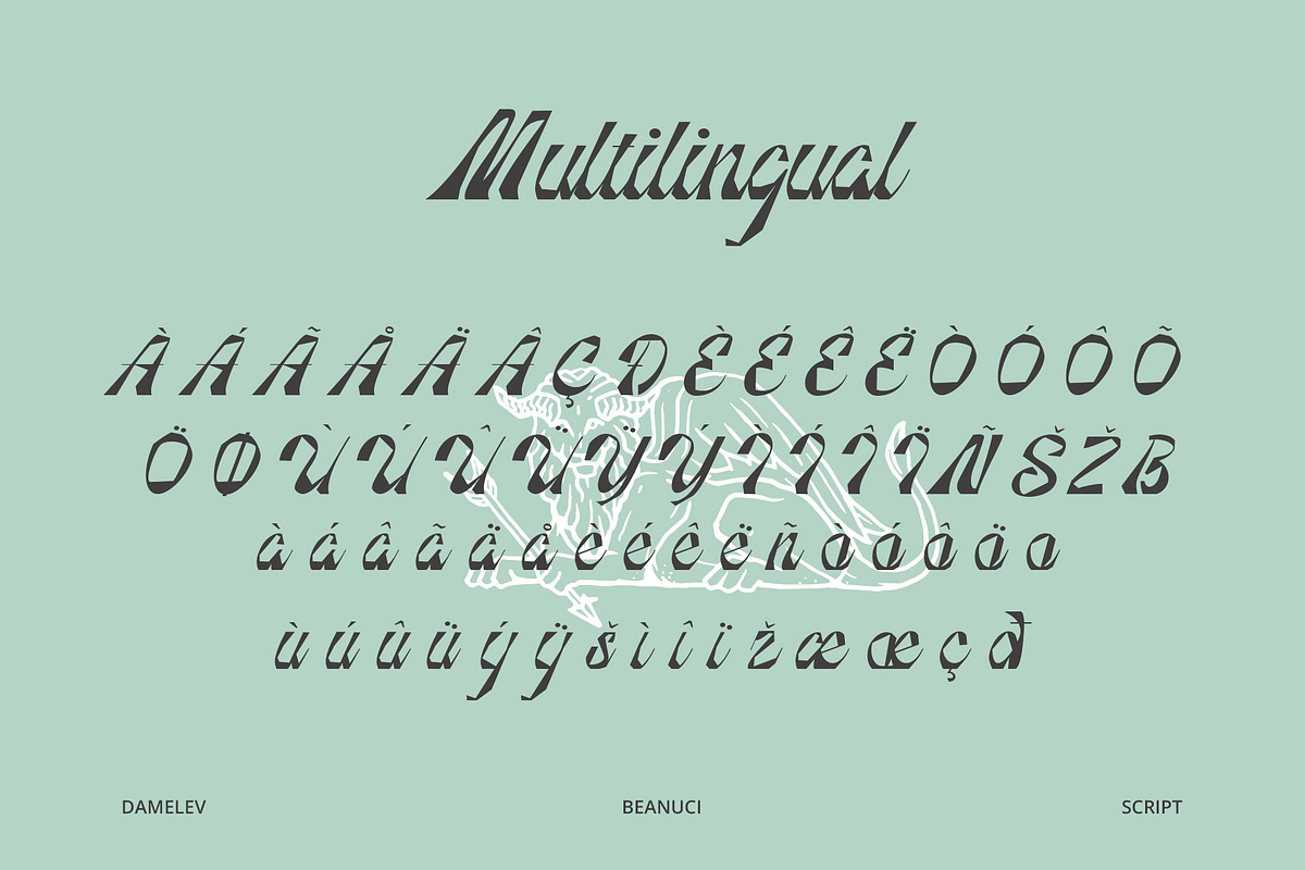Beanuci, a Script Font by Damelev (Photo 11 of 13)