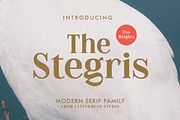 The Stegris Serif Family - 5 Weights, a Serif Font by Letterhend Studio (Thumbnail 1 of 9)