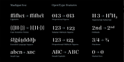Madigan Text, a Serif Font by Hoftype (Thumbnail 11 of 11)