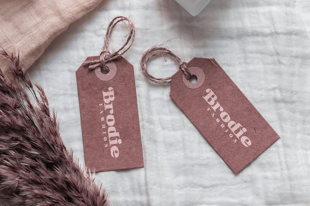 Collonie, a Serif Font by yumnatype (Photo 7 of 10)