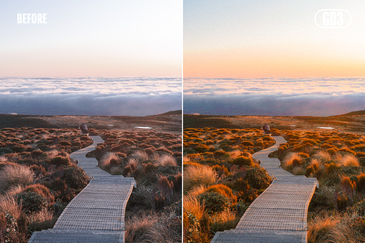Kodak Gold Film Mobile Presets, a Preset Add-On by VHC GRAPHICS (Photo 6 of 6)