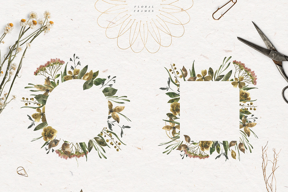 Herbarium Watercolor Collection, a Texture Illustration by Julia Dreams (Photo 6 of 8)