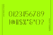 Artemis - An Elegant Serif, a Serif Font by Like Magic Studio (Thumbnail 4 of 11)