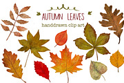 Autumn leaves handdrawn clipart, an Illustration by Katie Lisker (Thumbnail 1 of 2)
