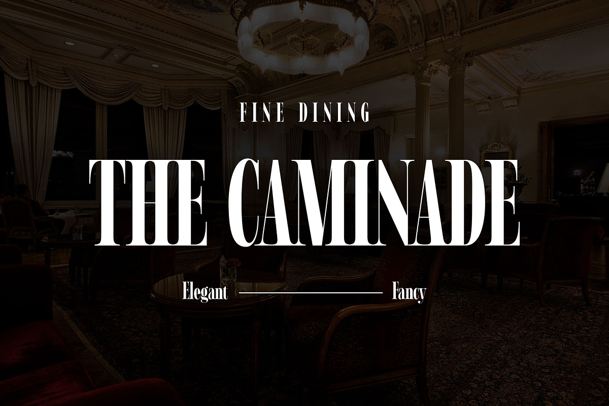 Ramond - Condensed Serif, a Serif Font by Novitype (Photo 3 of 14)