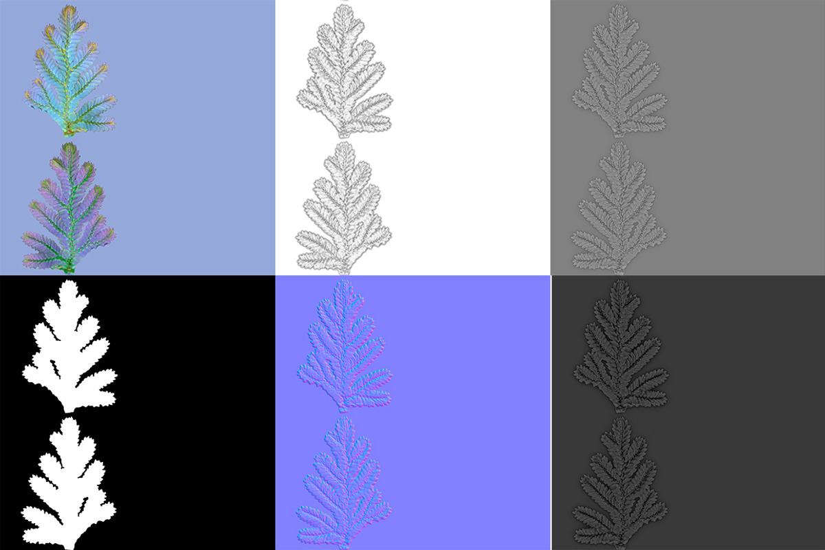 Selaginella V3, an Environmental 3D Model by AndrewWhite (Photo 3 of 9)