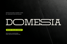 Domesia | Wide Slab Serif