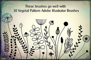 30 Floral Adobe Illustrator Brushes