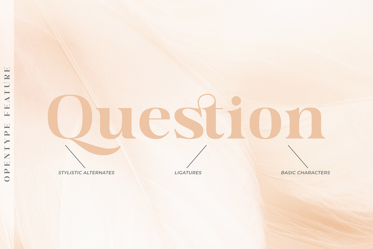 Raflera | A Modern Classy Serif Font, a Serif Font by Andrimada Creative (Photo 9 of 12)