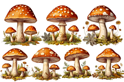 Vintage Mushroom Clipart, an Illustration by Digital Xpress (Thumbnail 2 of 3)