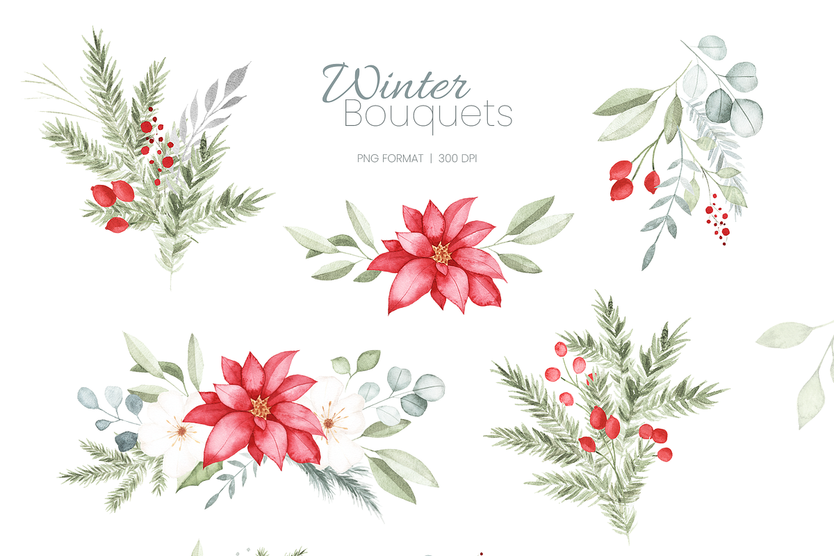 Winter Botanical Watercolor Set, a Decorative Illustration by Liliia Polos Illustration (Photo 3 of 10)