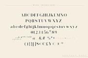 Lostgun | Discount 20%  OFF, a Serif Font by Qaratype (Thumbnail 17 of 20)