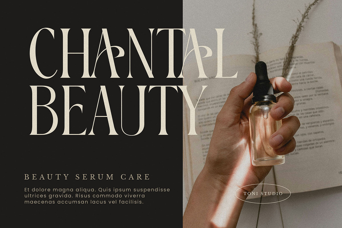 FRISTA || modern ligature, a Serif Font by ToniStudio (Photo 6 of 12)