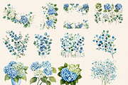BLUE WHITE HYDRANGEA WEDDING PNG, a Decorative Illustration by Daring Digies (Thumbnail 5 of 10)
