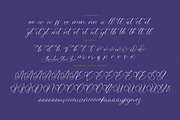 Belati Sophia Modern Beauty Script, a Script Font by Letterena Studios Script (Thumbnail 14 of 15)