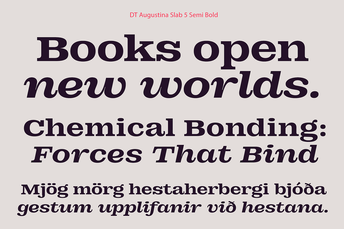 DT Augustina Slab 5 Subfamily, a Slab Serif Font by Deveze Type Foundry (Photo 11 of 31)