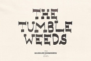 Tumbleweed Hand Drawn Western Font, a Handwritten Font by Madeline ODonoghue Design (Thumbnail 14 of 14)
