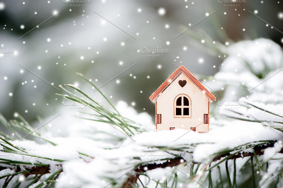 Christmas toy house, a Nature Photo by WildStrawberry Magic (Photo 2 of 2)
