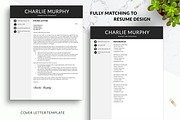 Modern CV Resume Template for Word, a Resume Template by BestResumes.Co (Thumbnail 3 of 7)