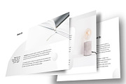 Pitch Deck Web Design Google Slides, a Presentation Template by temphall (Thumbnail 4 of 8)