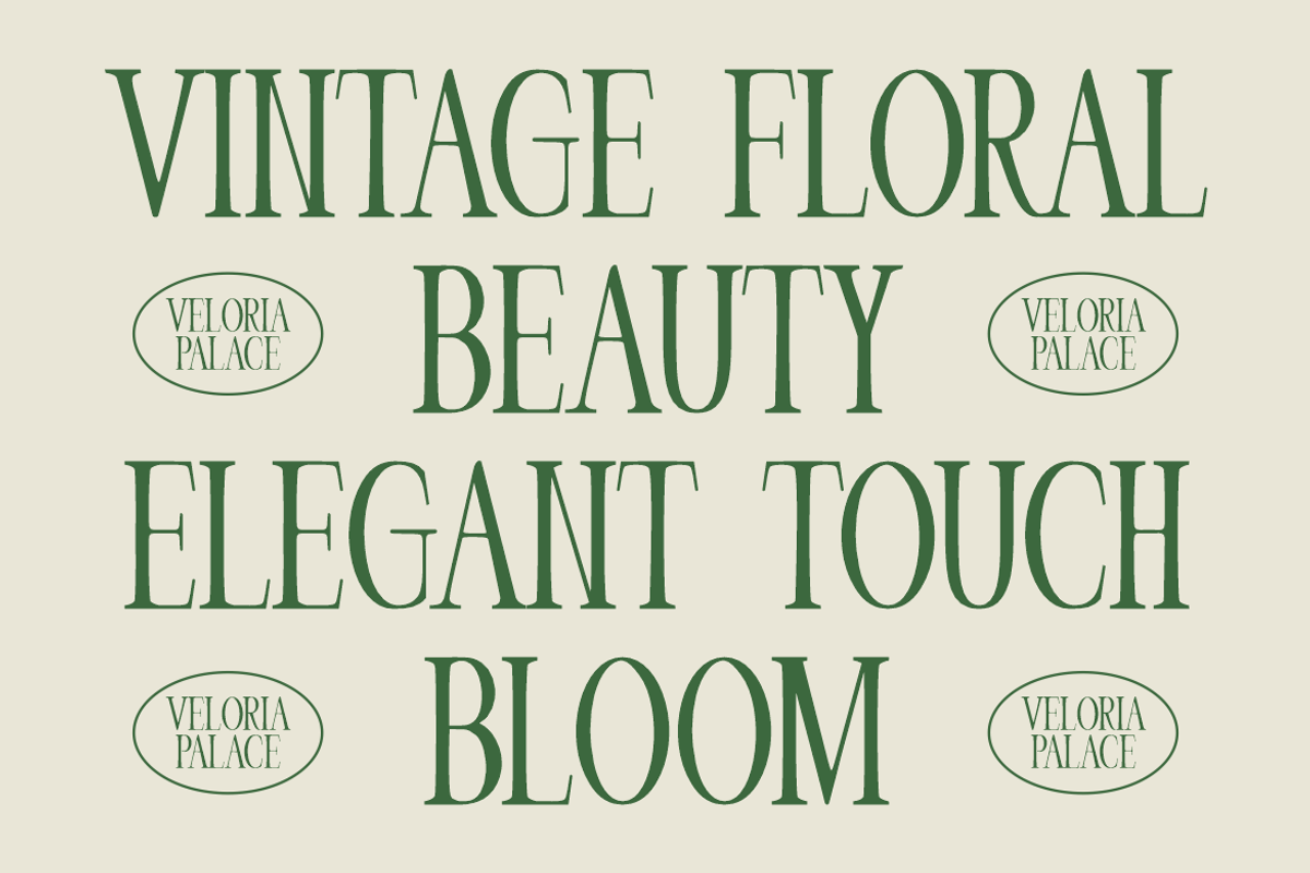 Veloria Palace Classic Serif Font, a Font by PutraCetol Studio (Photo 3 of 6)