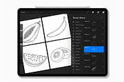 Fruit Stamp Brushes for Procreate, a Brush Add-On by Designbuys (Thumbnail 2 of 4)